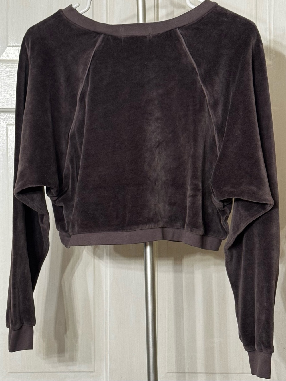 Suzi Kondi Velvet Cropped Sweatshirt in Plum Medium - Picture 2 of 3